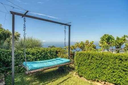Gocce Villas - Sunshine Villa Massa Lubrense Eksteriør bilde